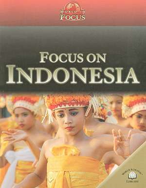 Focus on Indonesia de Sally Morgan