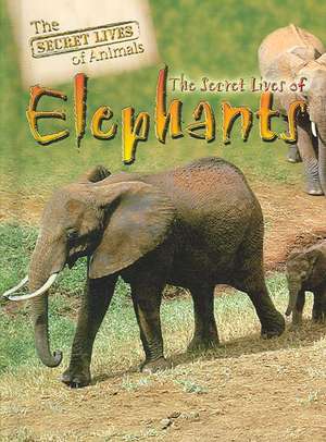 The Secret Lives of Elephants de Julia Barnes