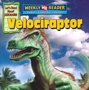 Velociraptor de Joanne Mattern