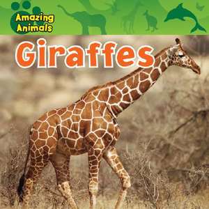 Giraffes de Sarah Albee