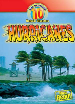 Hurricanes de Carol Ryback