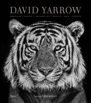 David Yarrow Photography de David Yarrow