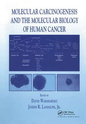 Molecular Carcinogenesis and the Molecular Biology of Human Cancer de David Warshawsky