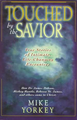 Touched by the Savior: Compelling Stories of Lives Changed by the Master's Hand de Mike Yorkey