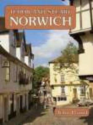 Pound, J: Tudor and Stewart Norwich de John F. Pound