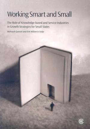 Working Smart and Small: The Role of Knowledge-Based and Service Industries in Growth Strategies for Small States de Mahvash Qureshi