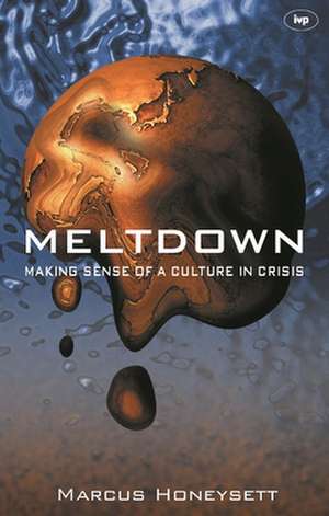 Meltdown – Making Sense Of A Culture In Crisis de Marcus Honeysett