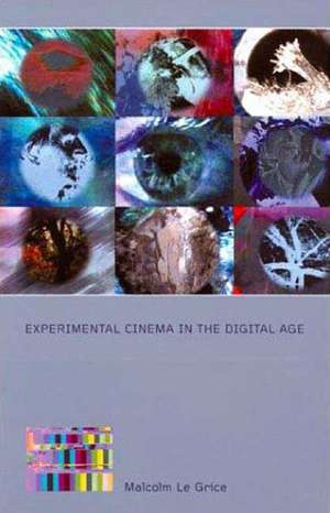 Experimental Cinema in the Digital Age de Malcolm Le Grice