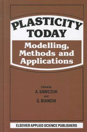 Plasticity Today: Modelling, methods and applications de A. Sawczuk