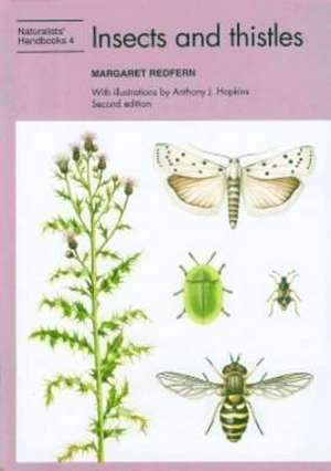 Insects and Thistles de Margaret Redfern