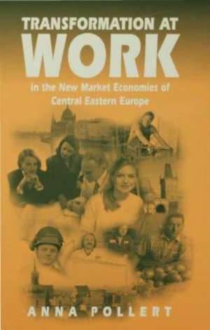 Transformation at Work: In the New Market Economies of Central Eastern Europe de Anna Pollert