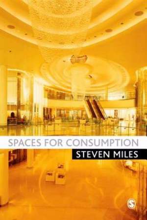 Spaces for Consumption de Steven Miles