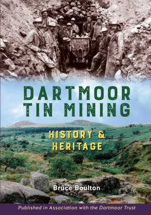 Dartmoor Tin Mining de Bruce Boulton