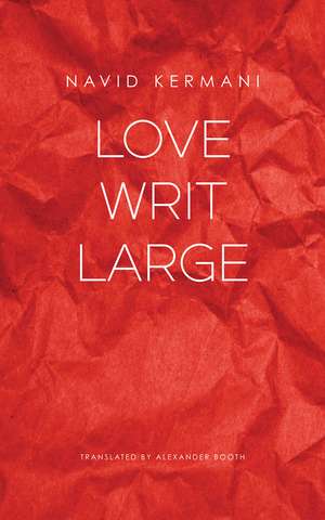 Love Writ Large de Navid Kermani