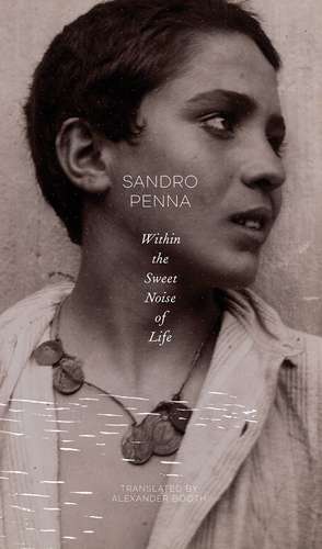 Within the Sweet Noise of Life: Selected Poems de Sandro Penna