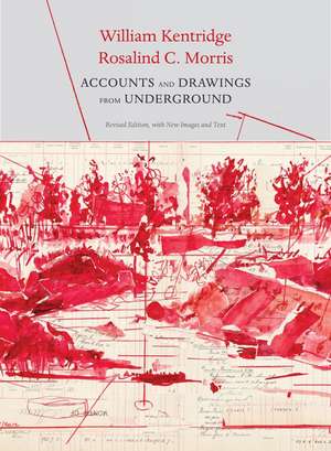 Accounts and Drawings from Underground: The East Rand Proprietary Mines Cash Book de William Kentridge