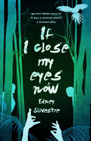 If I Close My Eyes Now de Edney Silvestre