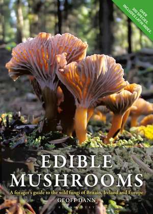 Edible Mushrooms: A forager's guide to the wild fungi of Britain, Ireland and Europe de Geoff Dann