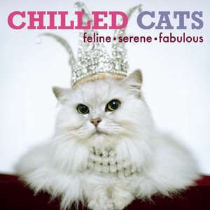 CHILLED CATS: Feline, Serene, Fabulous de Editors of Plexus