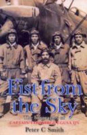 Fist from the Sky de Peter C. Smith