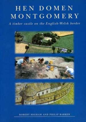 Hen Domen, Montgomery: A Timber Castle on the English-Welsh Border:A Final Report de Philip Barker