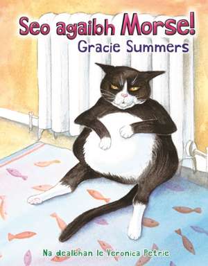 Seo Agaibh Morse! de Gracie Summers