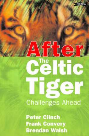 After the Celtic Tiger: Challenges Ahead de Peter Clinch