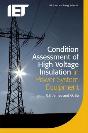 Condition Assessment of High Voltage Insulation in Power System Equipment de R. E. James