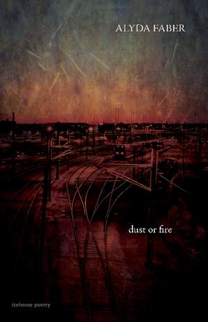 Dust or Fire de Alyda Faber