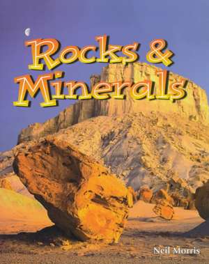 Rocks and Minerals de Neil Morris