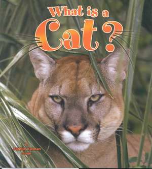 What Is a Cat? de Amanda Bishop