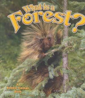 What Is a Forest? de Bobbie Kalman