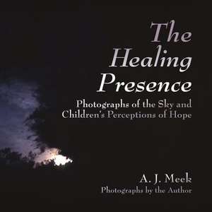 The Healing Presence de A. J. Meek