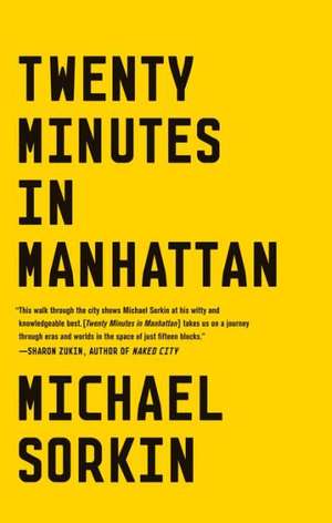 Twenty Minutes in Manhattan de Michael Sorkin