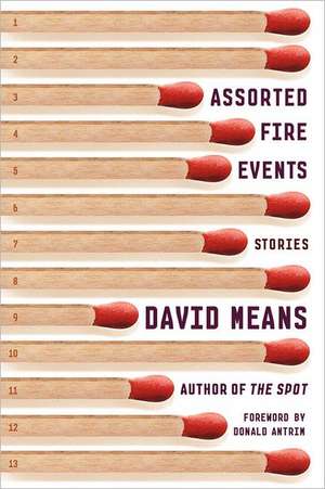 Assorted Fire Events de David Means