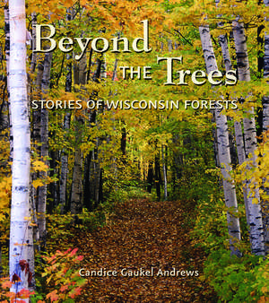 Beyond the Trees: Stories of Wisconsin Forests de Candice Gaukel Andrews