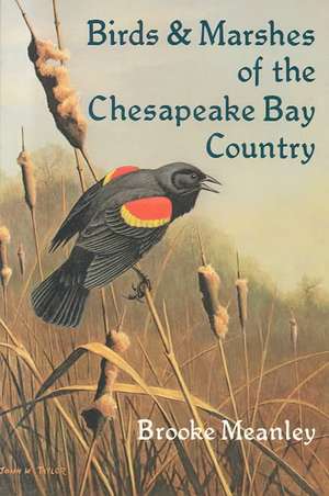 Birds and Marshes of the Chesapeake Bay Country de Brooke Meanley