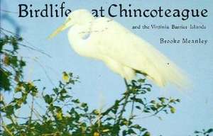 Birdlife at Chincoteague & the Virginia Barrier Islands de Brooke Meanley