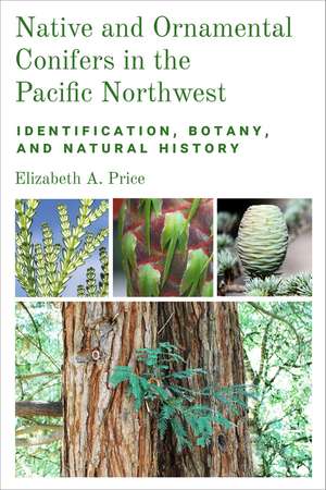 Native and Ornamental Conifers in the Pacific Northwest: Identification, Botany and Natural History de Elizabeth A. Price