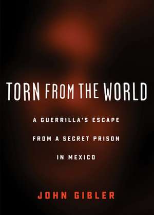 Torn from the World de John Gibler