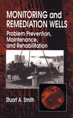 Monitoring and Remediation Wells: Problem Prevention, Maintenance, and Rehabilitation de Stuart A. Smith