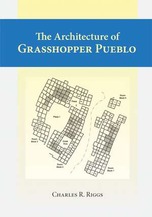 Architecture Of Grasshopper Pueblo, The de Charles Riggs