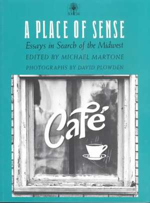 A Place Of Sense: Essays In Search Of Midwest de Michael Martone