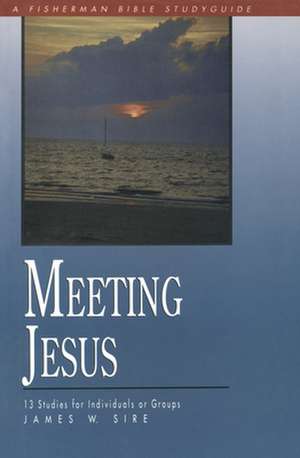 Meeting Jesus de James W. Sire