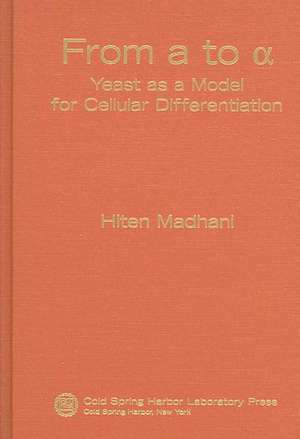 From a to Alpha de Hiten Madhani