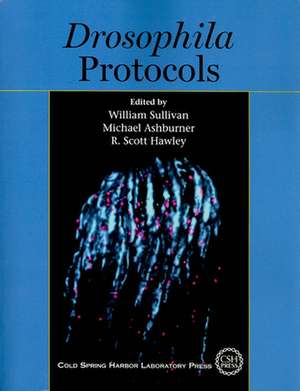 Drosophila Protocols de William Sullivan