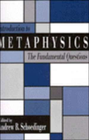 Introduction to Metaphysics de Andrew B. Schoedinger