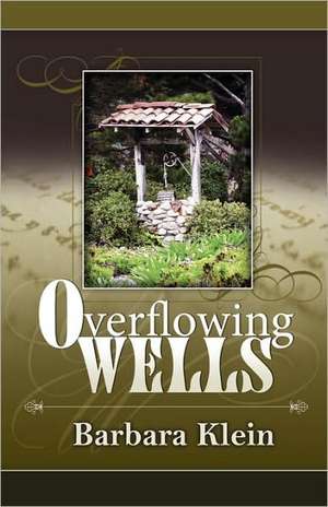 Overflowing Wells de Barbara Klein