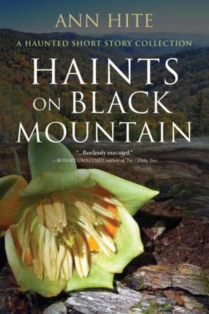 Haints on Black Mountain de Ann Hite