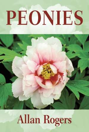 Peonies de Allan Rogers